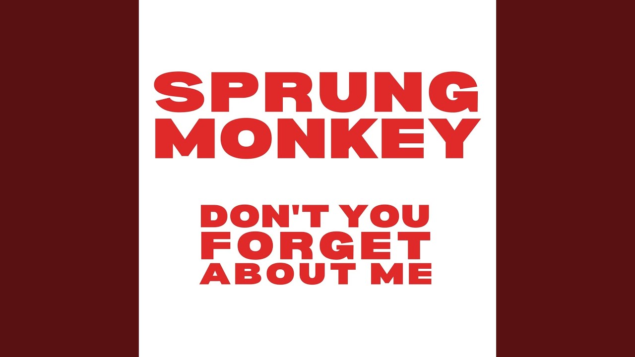 Don't You (Forget About Me)