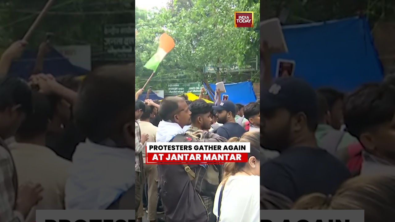 CJP Protest: Supporters Gather at Jantar Mantar After Yesterday's CJP Protest Incident #cjp #delhi