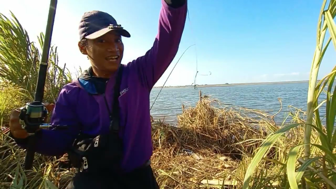 Straik ikan belanak di pulau muara pantai trisik