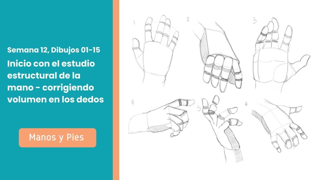 Inicio con el dibujo de manos con volumen y estructura