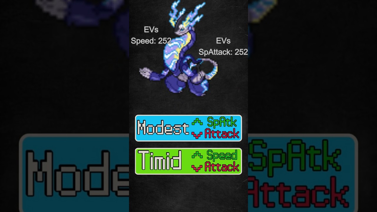 How to use Miraidon in ONE MINUTE #pokemonteambuilding #pokemon #miraidon  #pokemonvgc #vgc
