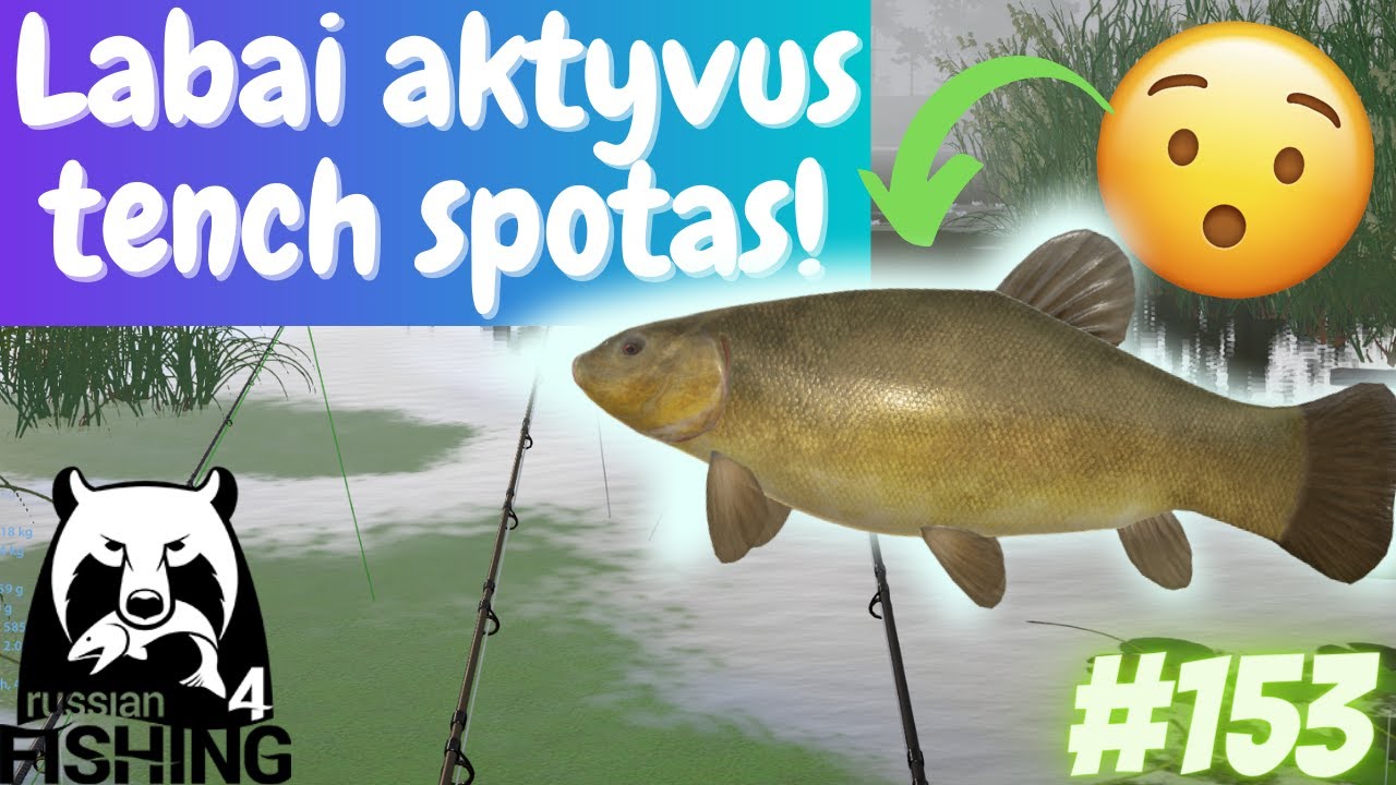 Labai aktyvus lynų spotas oldburge! #153 Russian fishing 4