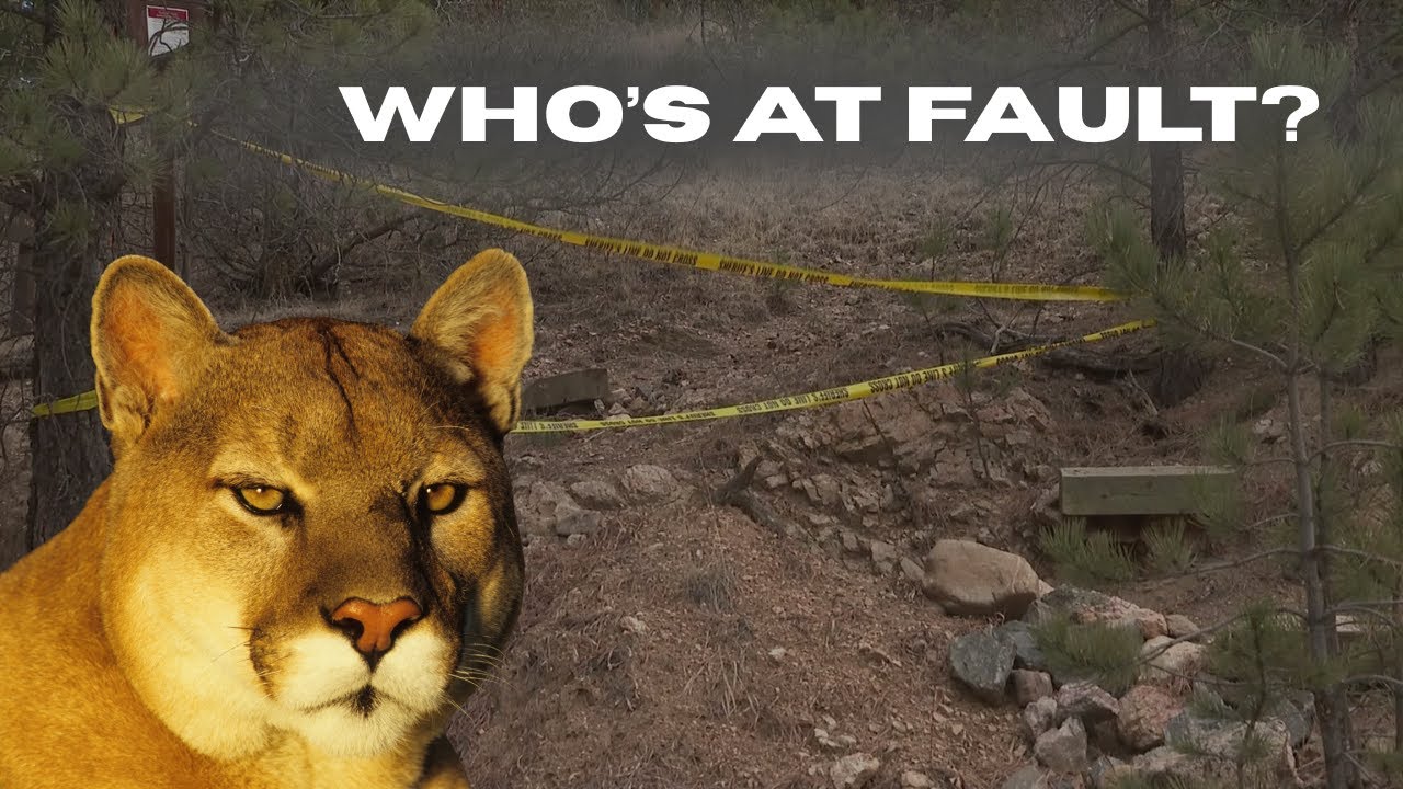 Stop Killing Wild Animals for Being Wild