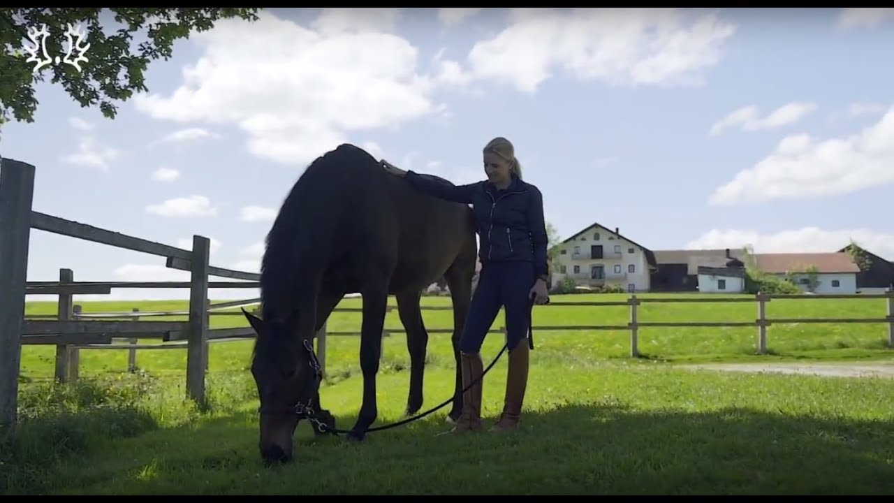 Mein Trakehner und ich - TSF Dalera BB & Jessica von Bredow-Werndl