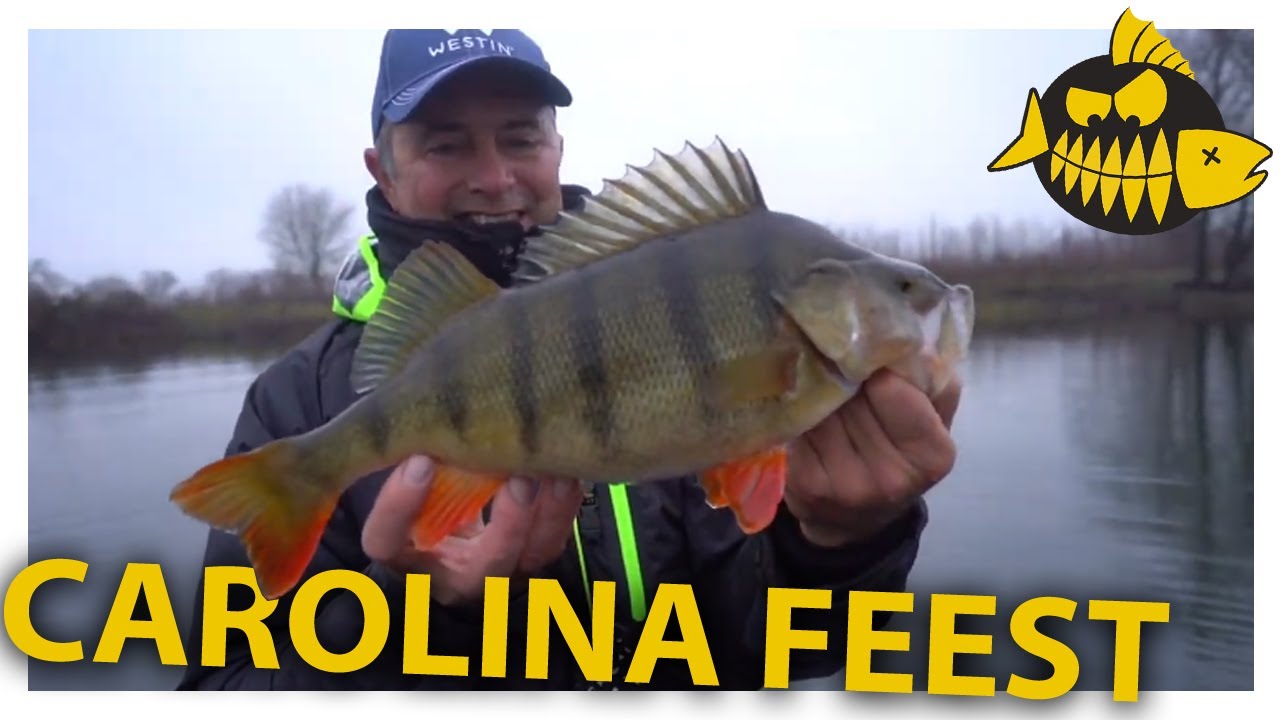 VISSEN met de CAROLINA RIG op GROTE BAARS! Zo werkt het!