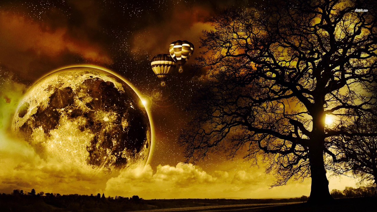 Detest// Sunburn