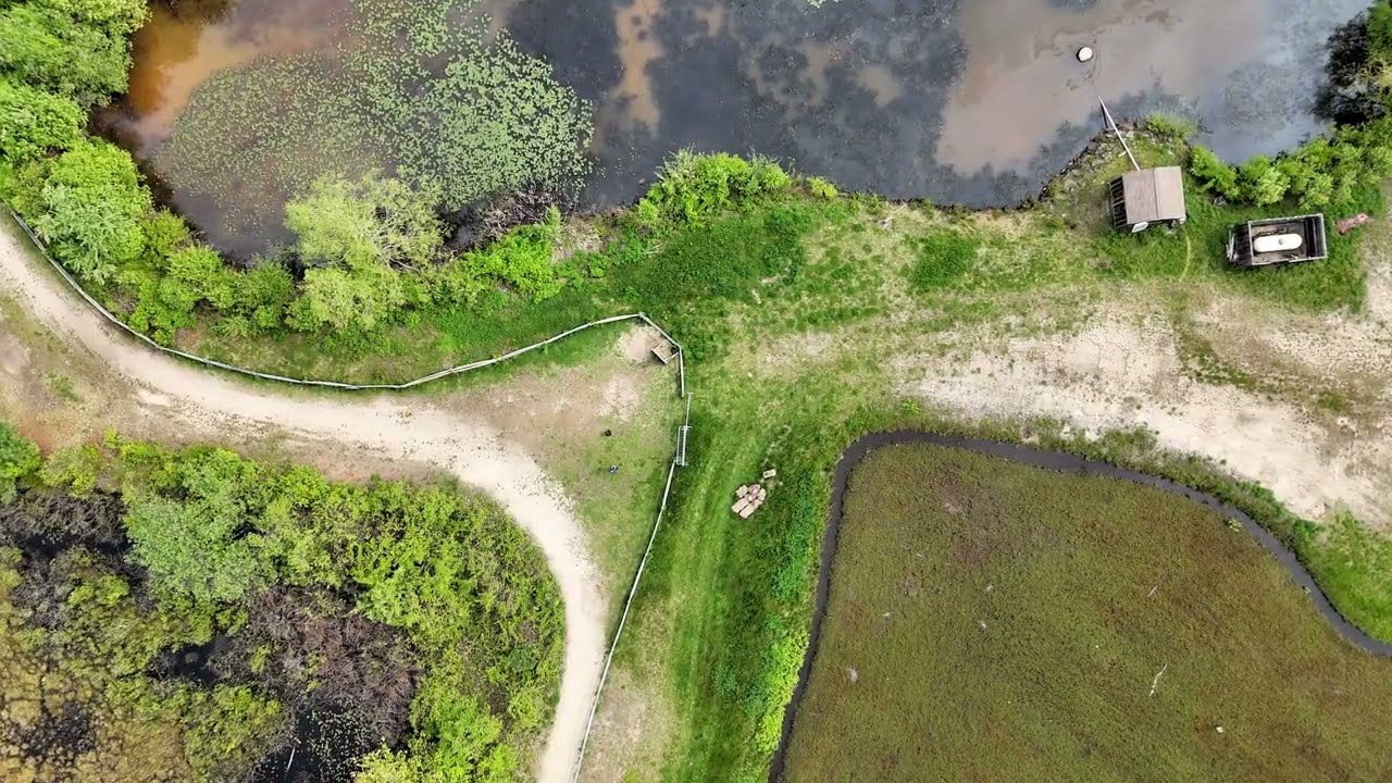 Cranberry Bog at Patriot Place - Hidden Gem of Foxborough, Massachusetts