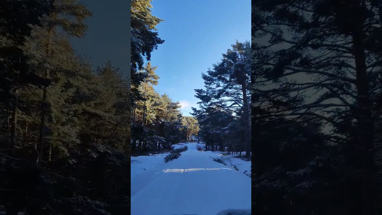 ❄️ Rodando con el coche sobre nieve🥰