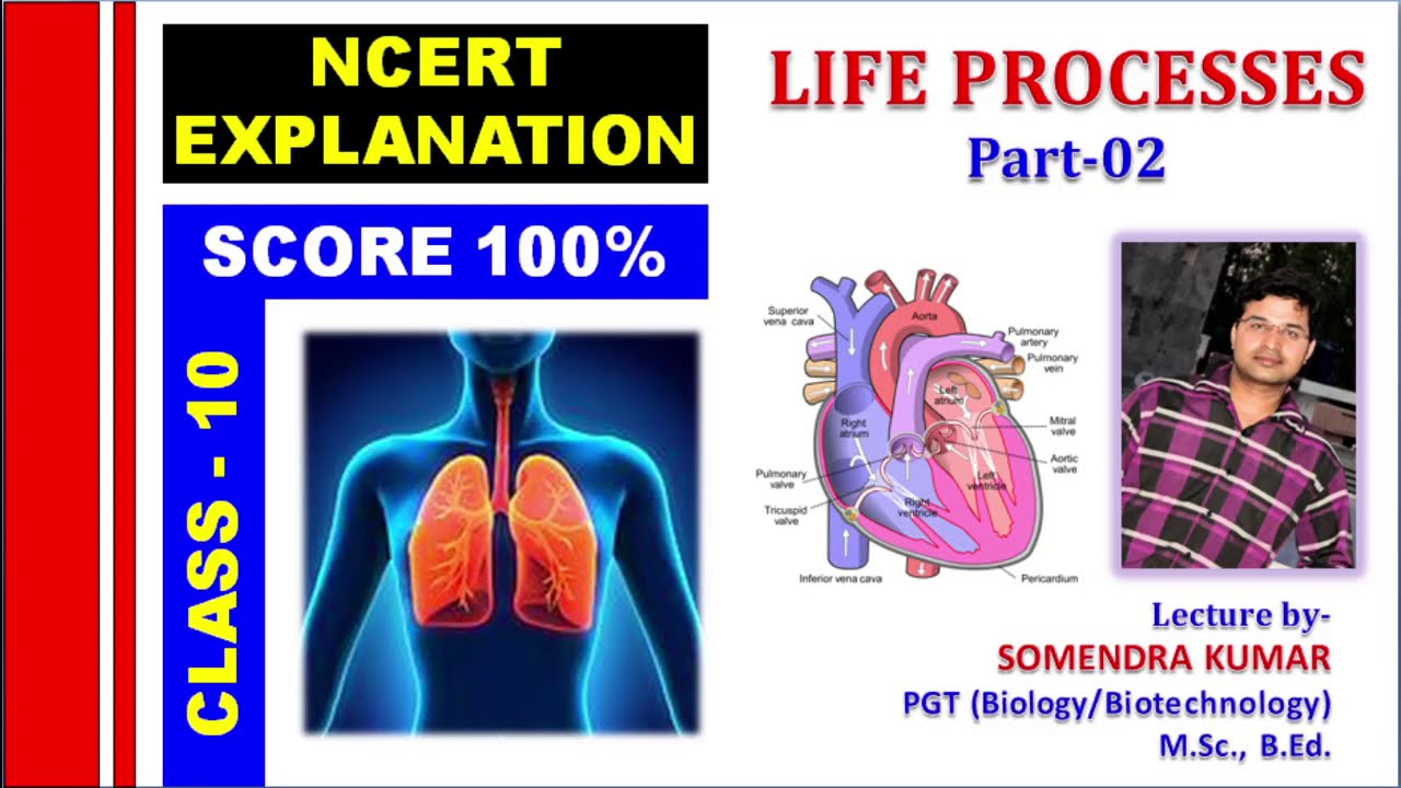 Life Process Class 10 science biology Part - 02 An Introduction