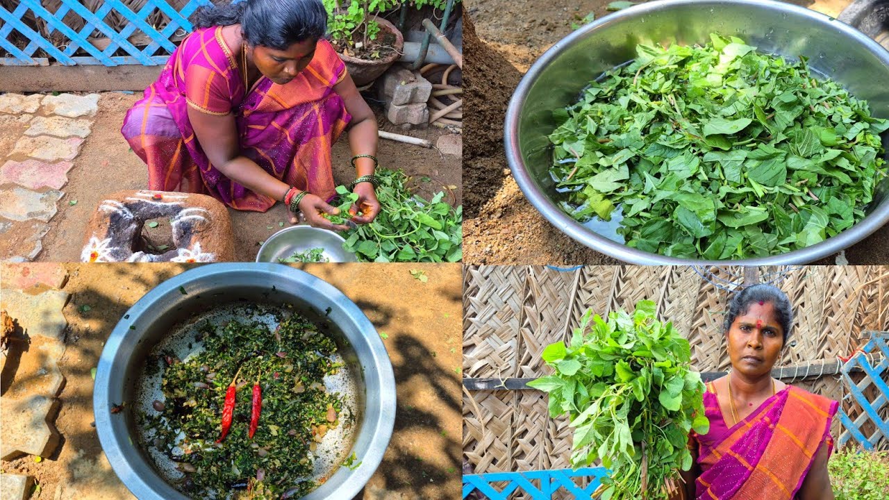  அரைகீரை பொறியல்🌿🌿 /Green Amaranth Stir Fry village style #sakthitimecooking 