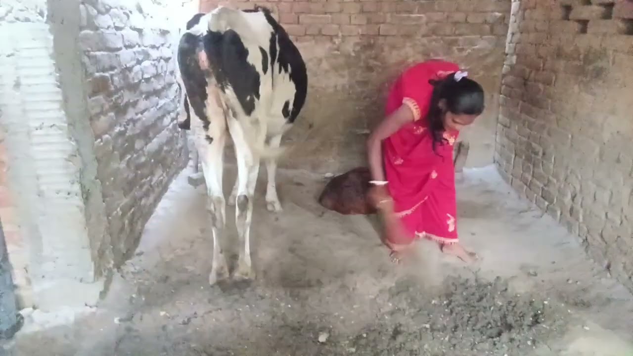 झाड़ू लगा रही हूं