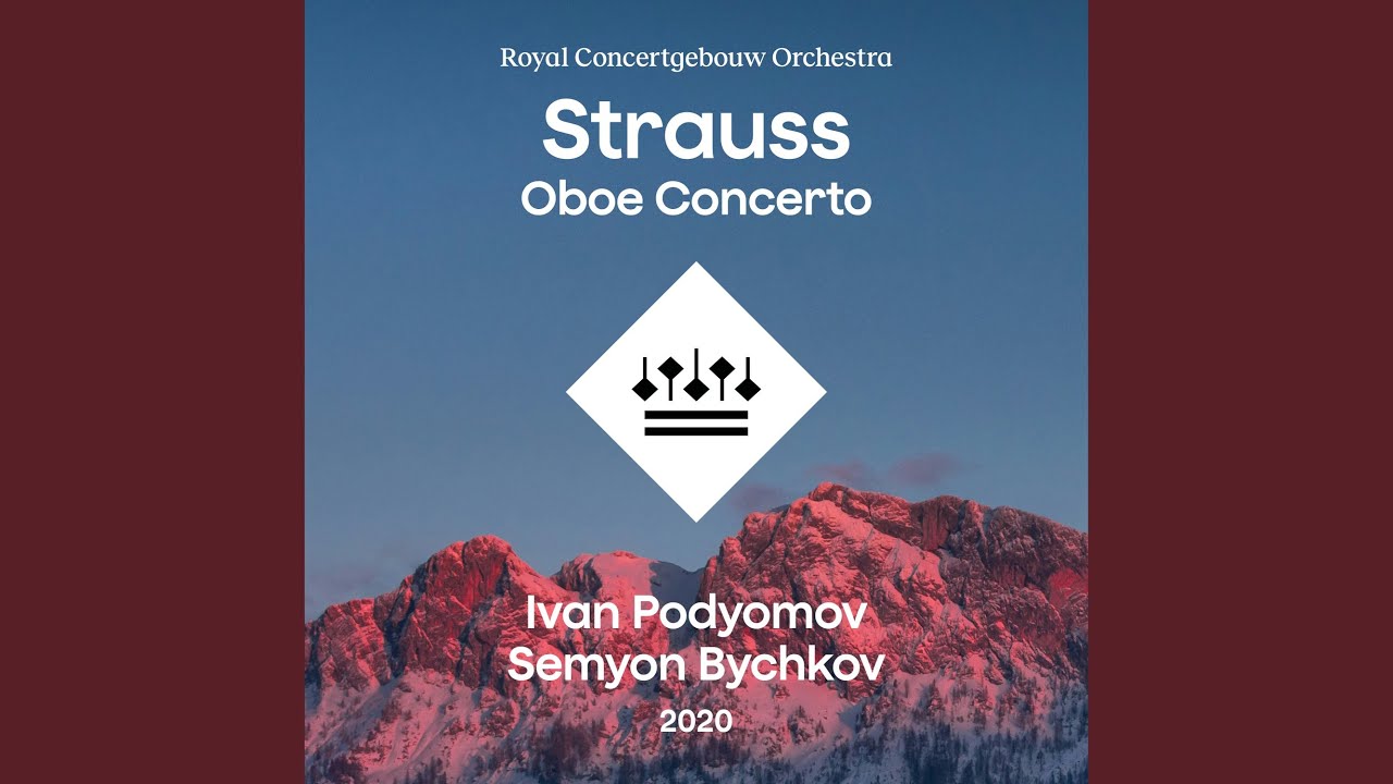 Oboe Concerto in D Major, TrV 292, AV144: I. Allegro moderato