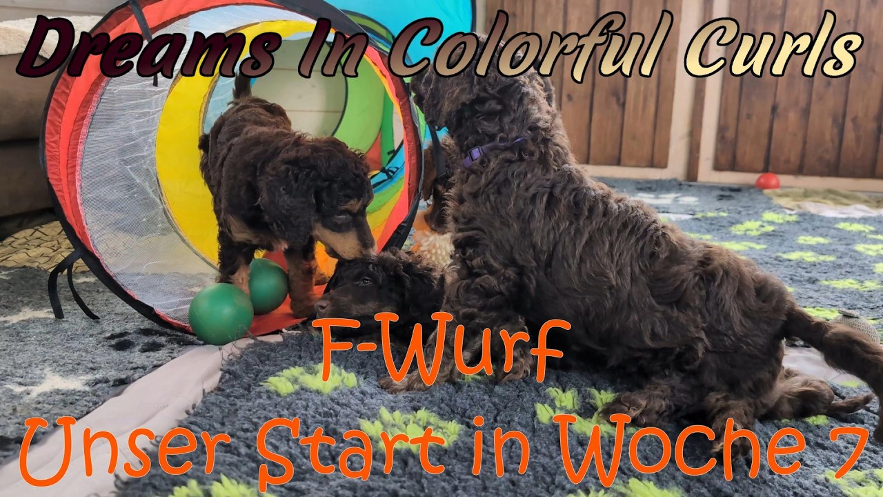 F Wurf - Der Start in die Woche 7