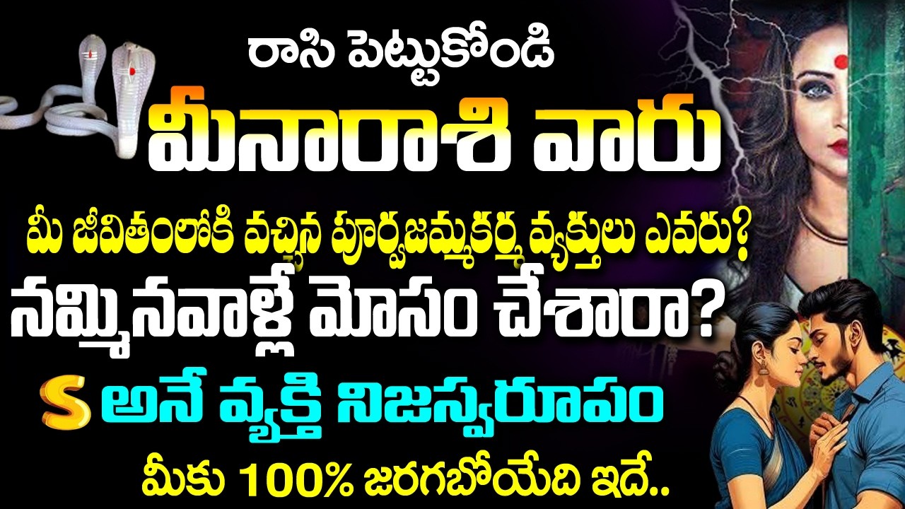 మీన రాశి  వారి జీవితంలోకి వచ్చిన పూర్వజన్మ కర్మ వ్యక్తులు ఎవరు?| MeenaRashi February 2026 Telugu