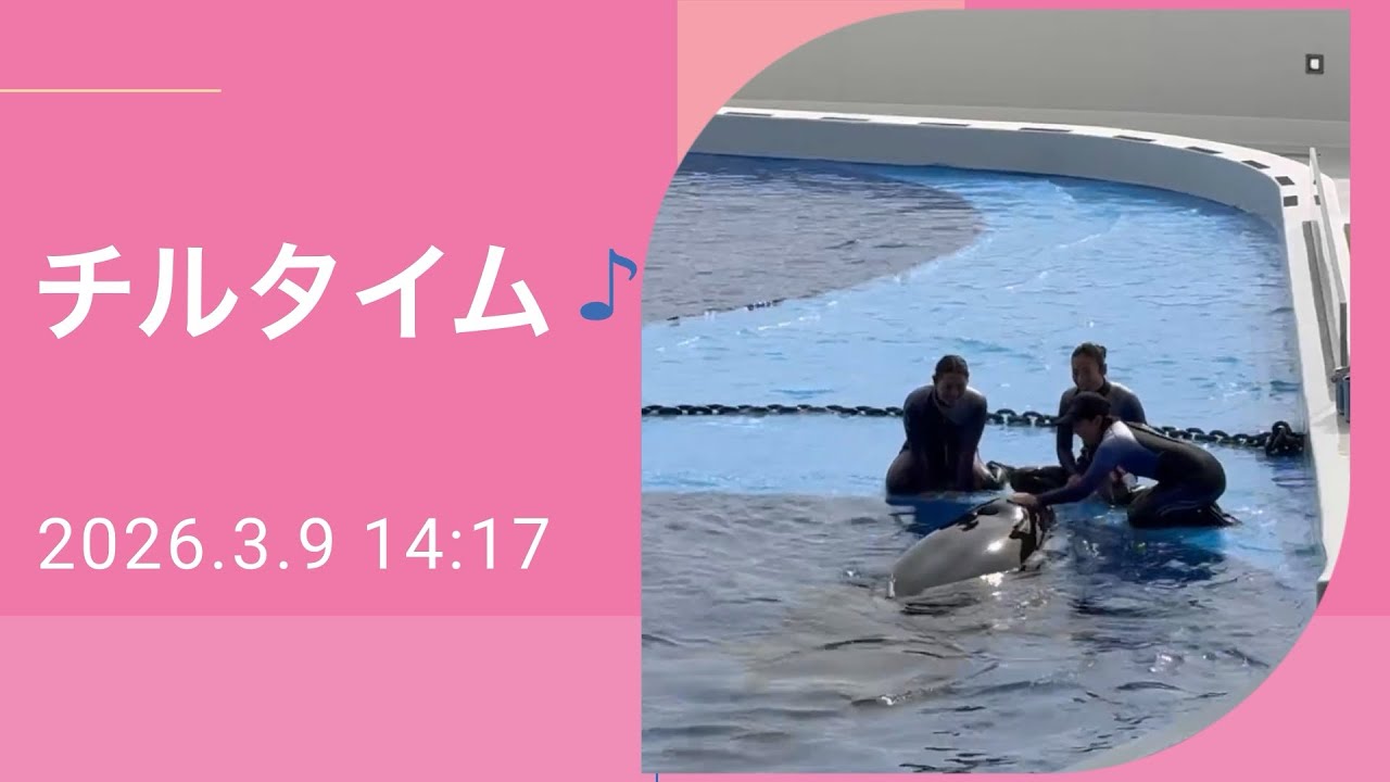 チルタイム♪ 2026.3.9 14:17