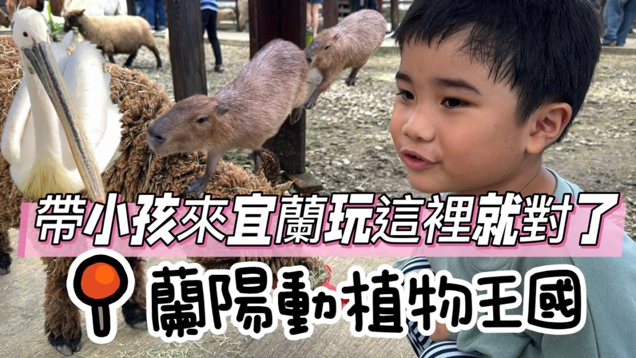 [宜蘭親子]宜蘭動物互動首選！蘭陽動植物王國值得去嗎？原來鵜鶘這麼大隻！現場看真的不一樣