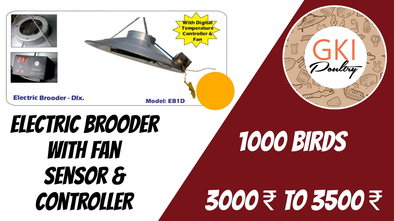 Electric Brooder with Fan, Sensor, Automatic Temp. Controller