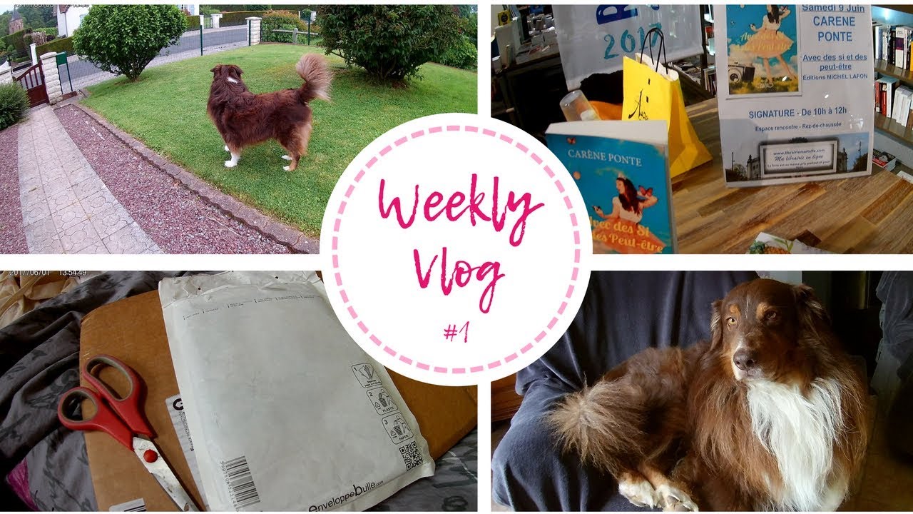 Weekly Vlog #1 :  Dédicace Carène Ponte, unboxing et ma lecture de La princesse et l'alchimiste !