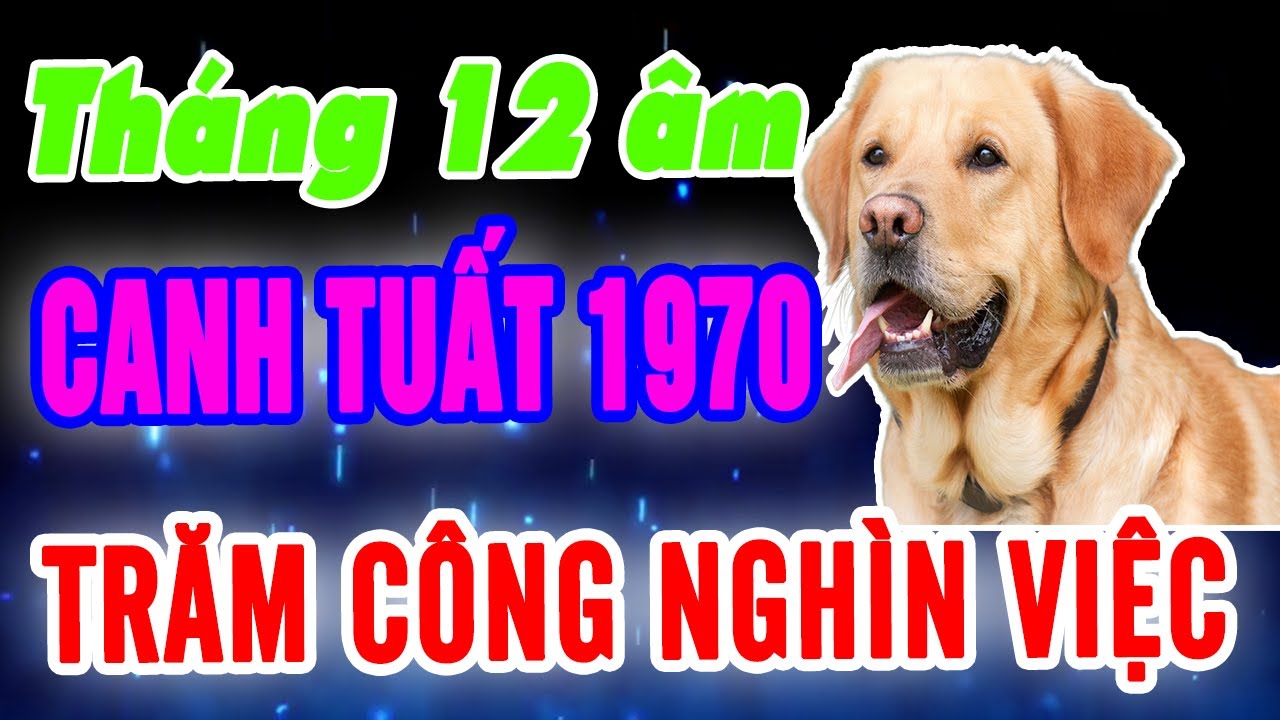 Bí Mật Cuối Năm: Canh Tuất 1970 biết trước Hoá Xui Giải Đen, Tài Lộc Kéo Về!