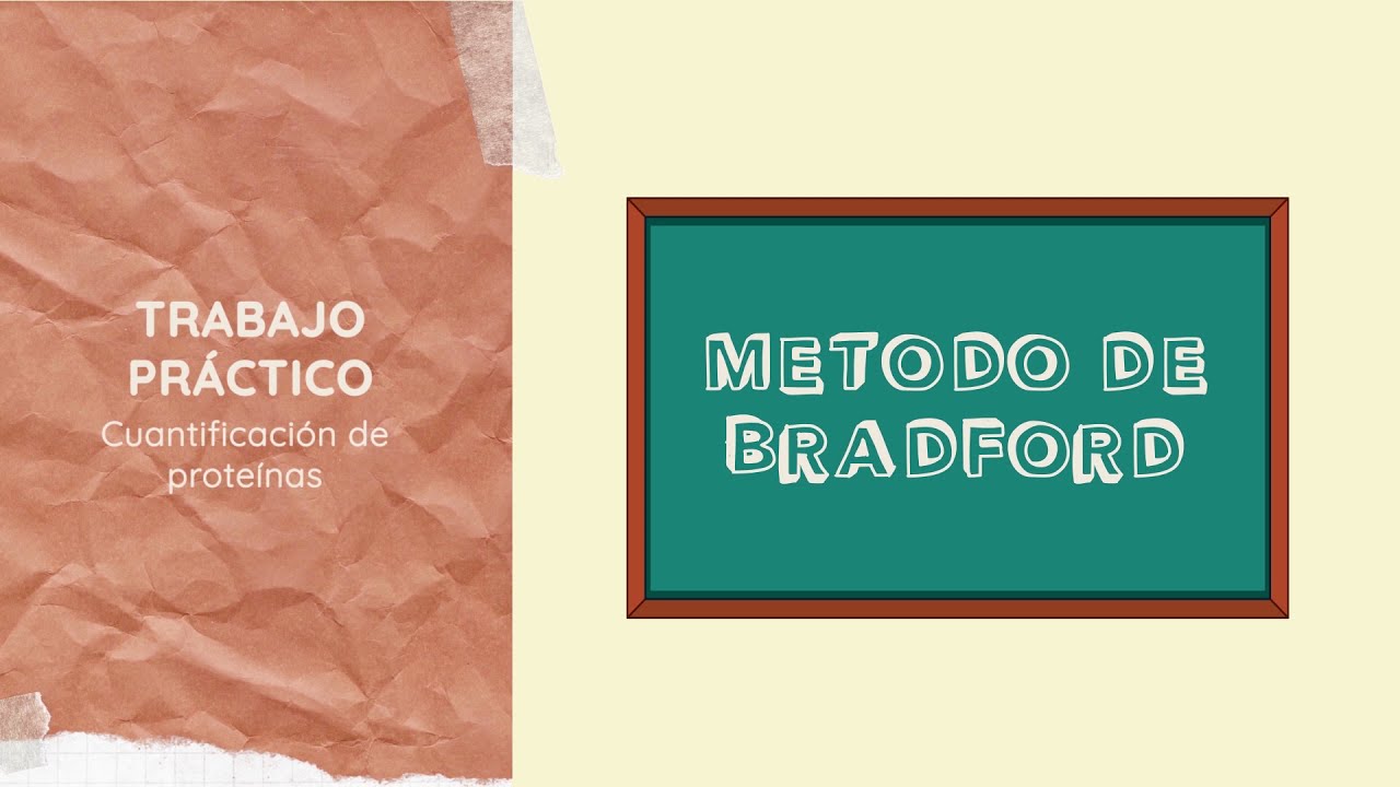 Trabajo Práctico: Cuantificación de proteínas por el método de Bradford