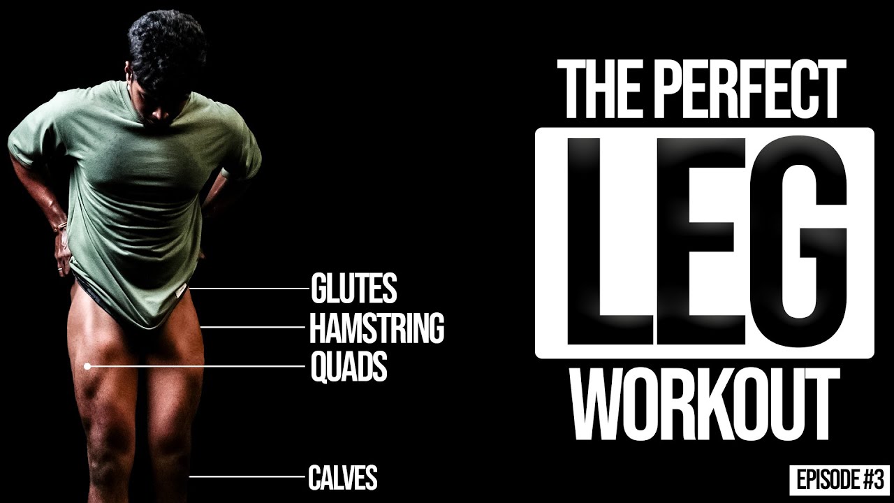 The Perfect Leg Day For Size & Strength📈 - EP. 3 Push| Pull | Legs series I தமிழ்