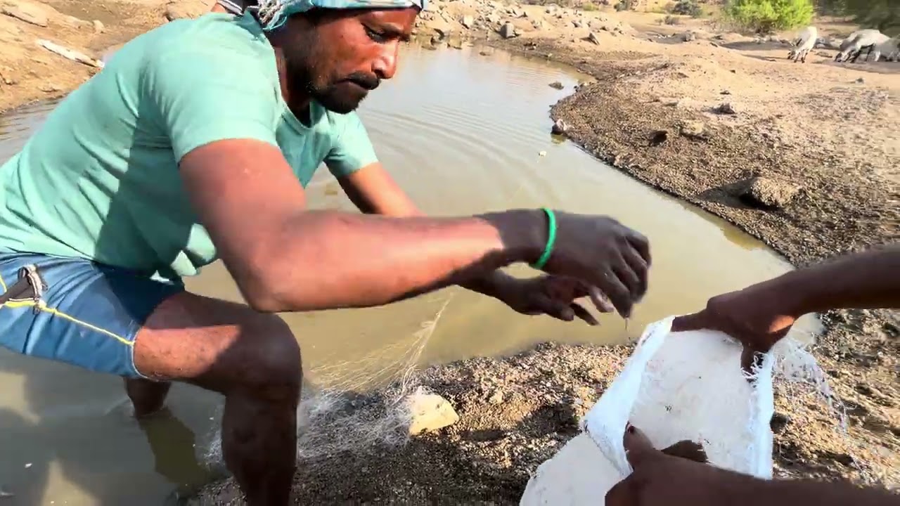 Fishing in Village Lake !! Relaxing Nature Vibes !! Unexpected Big Fish Caught !!