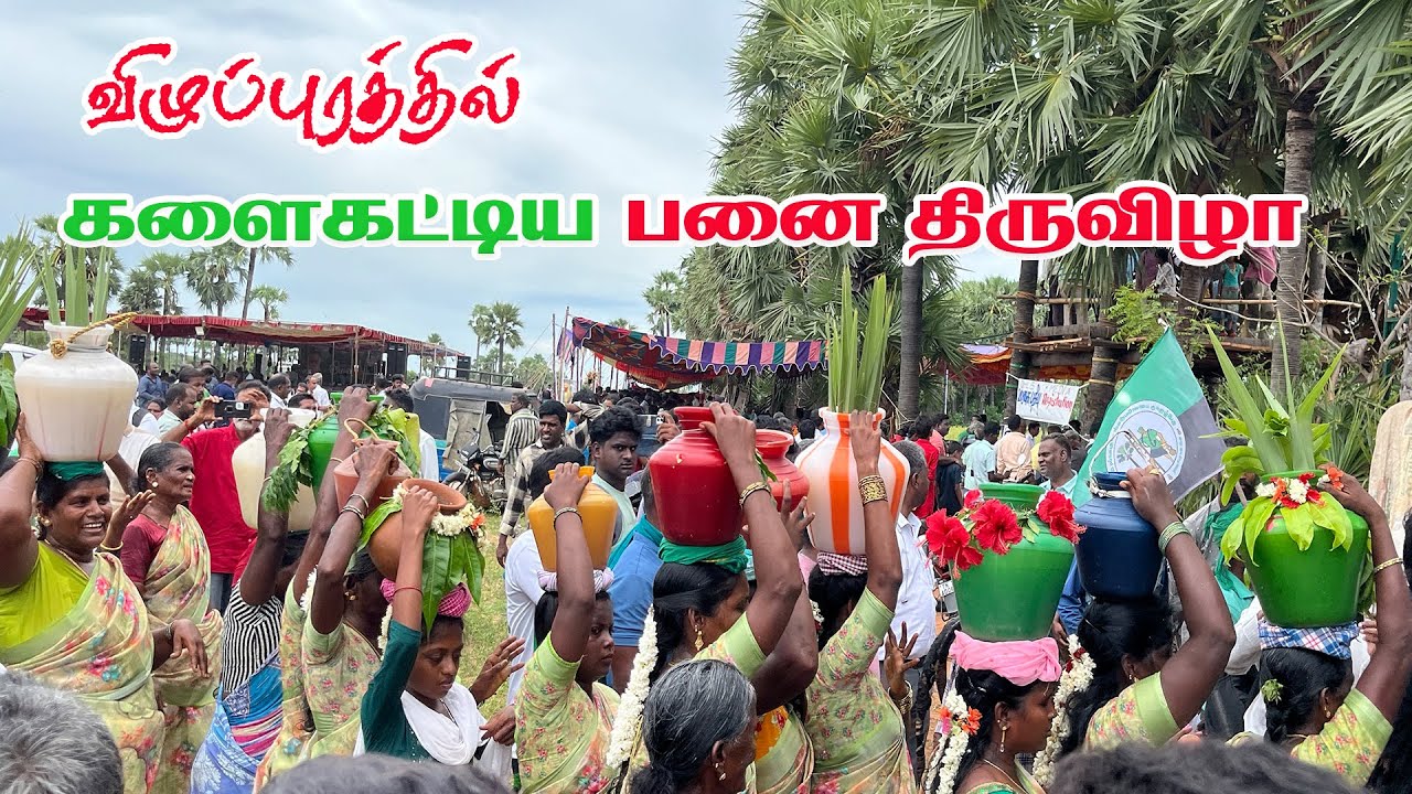 பாரம்பரிய உணவுகளோடு களைகட்டிய பனை கனவுத்திருவிழா 2025 | Panai Kanavu Thiruvizha 2025 | Pasumai Talks