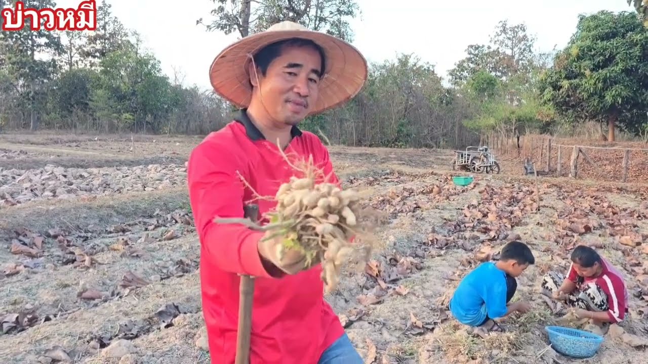 โชคดี..ที่ยังพอได้กิน.