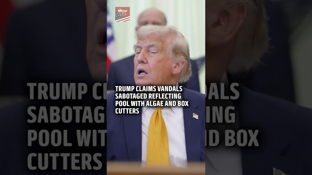 Trump claims vandals sabotaged Lincoln Memorial Reflecting Pool with algae and box cutters