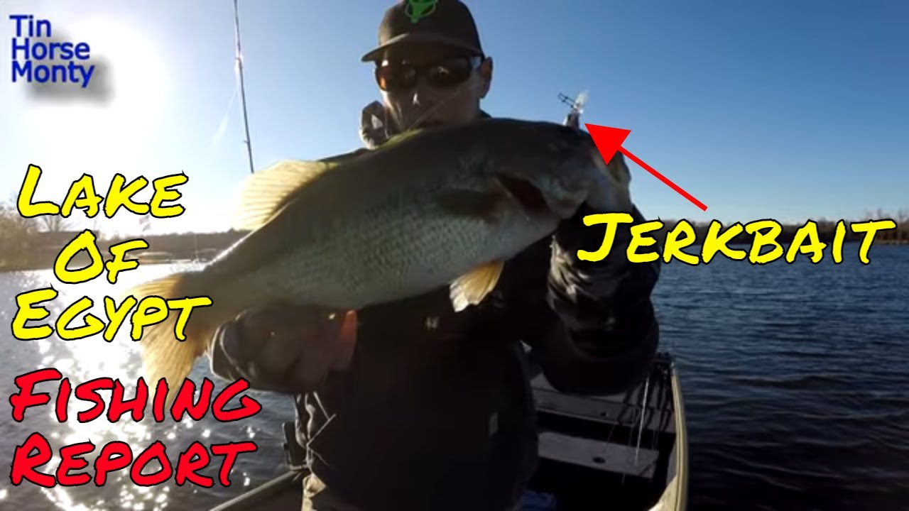 Lake of Egypt FALL OFFSHORE BASS FISHING November 2020