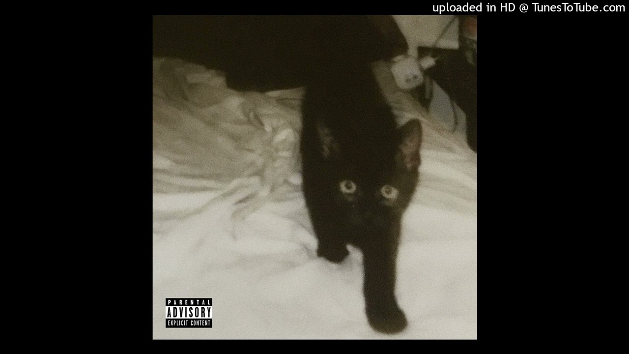 Str&yacute;c Nory - B&iacute;lej odpad [PROD.YUNGMEXIC$NBIH]