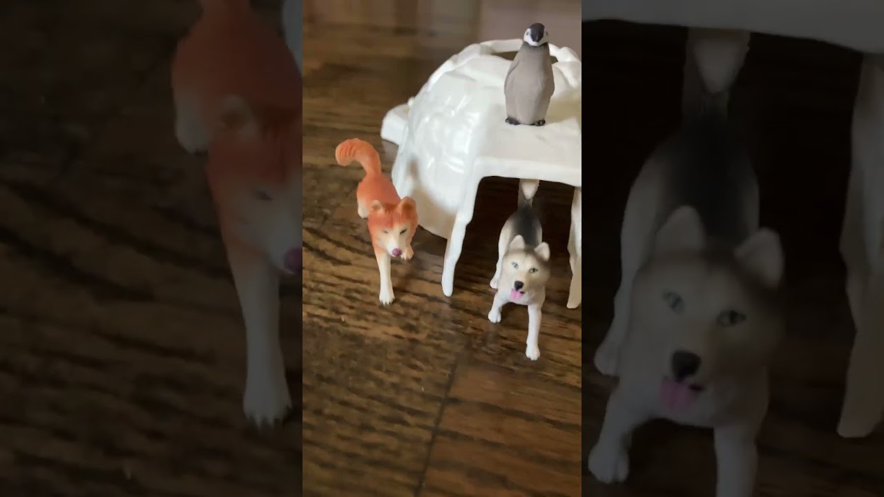 Me when I get Schleich 