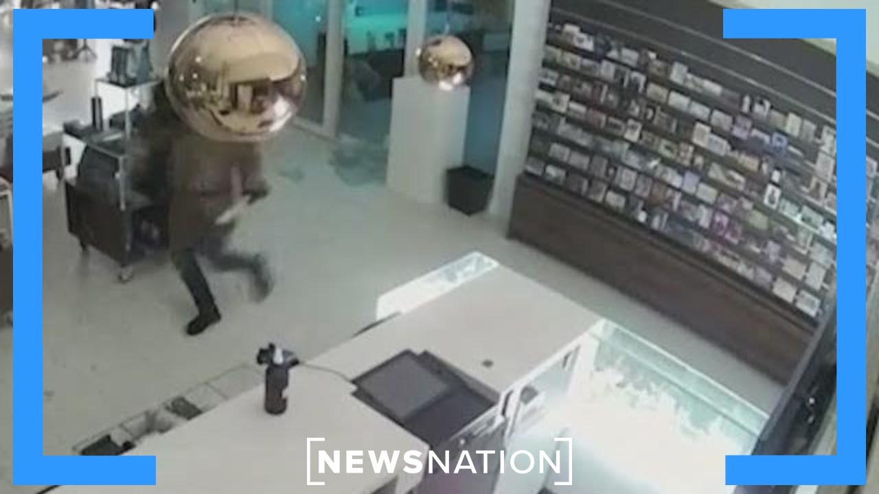 It took the 'Indiana Jones' of art to recover stolen Van Gogh | NewsNation Now