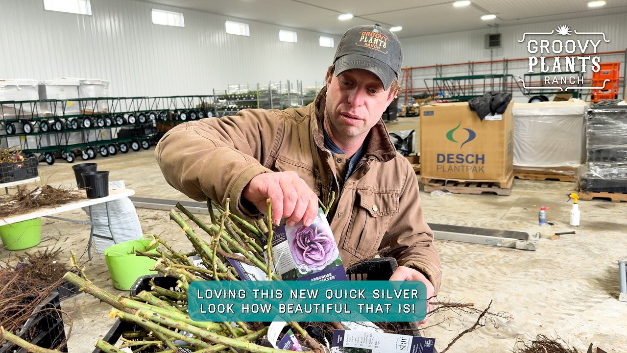 Groovy Plants Ranch : We Expanded! 🌹 600+ Roses & Our Brand New Production Barn