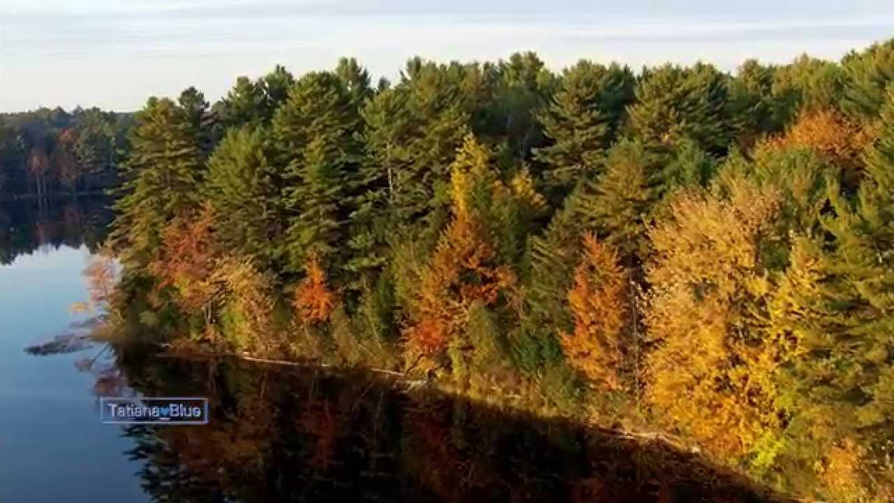 Beauty Of Autumn... (Accordion Music)