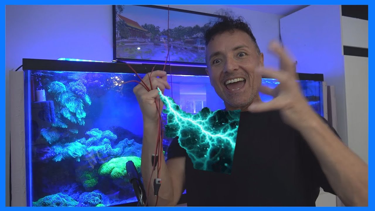 Save Money Eliminate Power Supplies - Spice Reef E114
