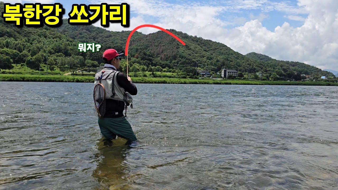 50cm~60cm 