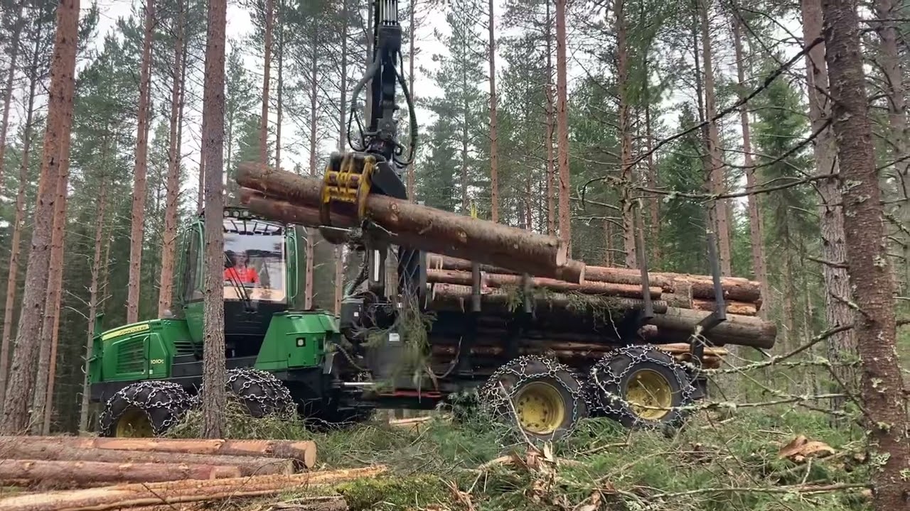 John Deere 1010E loading Spruce