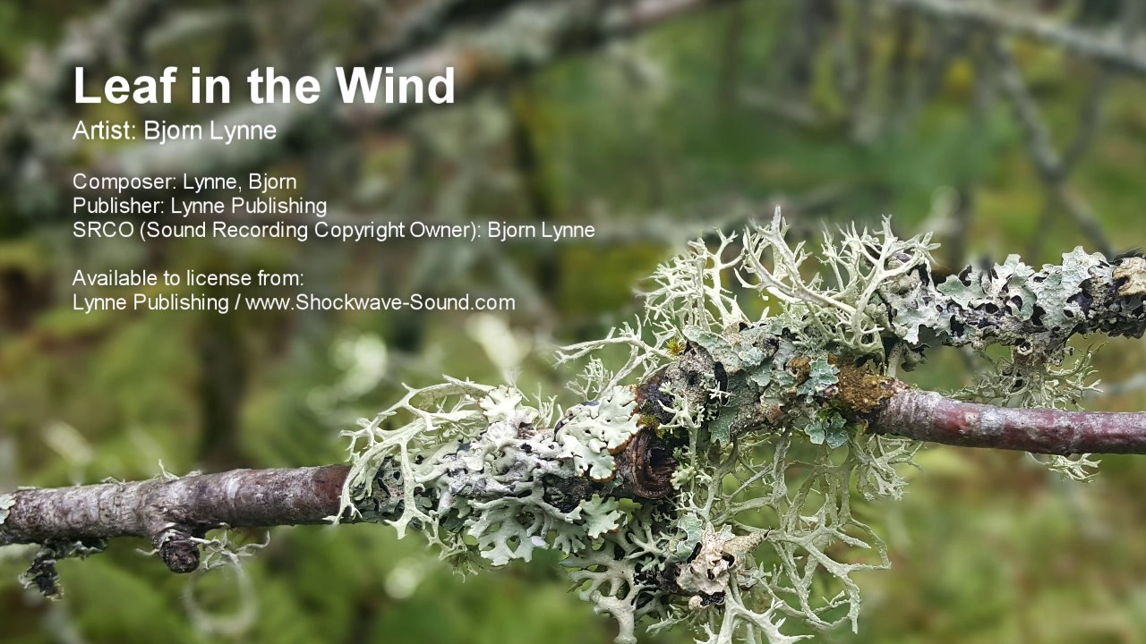 Leaf in the Wind - Bjorn Lynne (Lynne Publishing)
