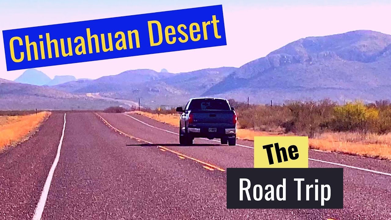 Chihuahuan Desert Road Trip