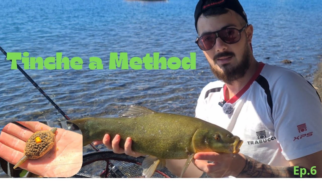 💚 TINCHE a METHOD 🐟 Passione Feeder Season 2025