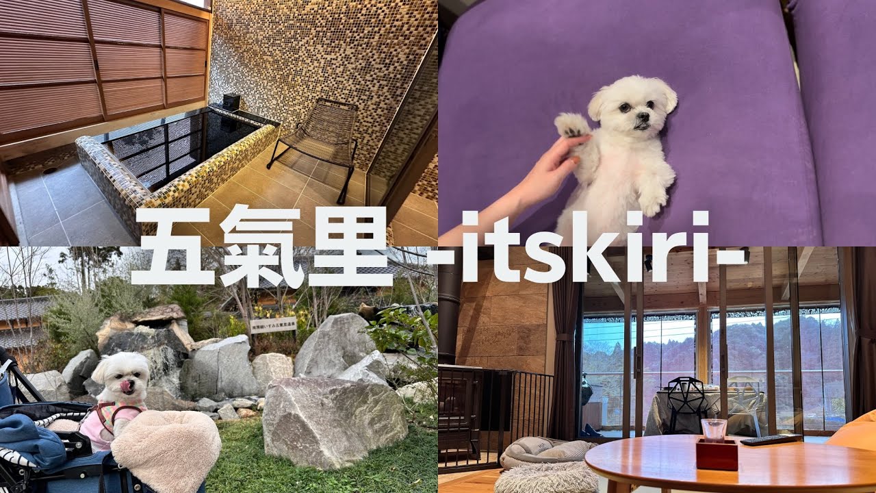 五氣里（itsukiri）犬と泊まれる黒い温泉のリゾートに泊まってきました