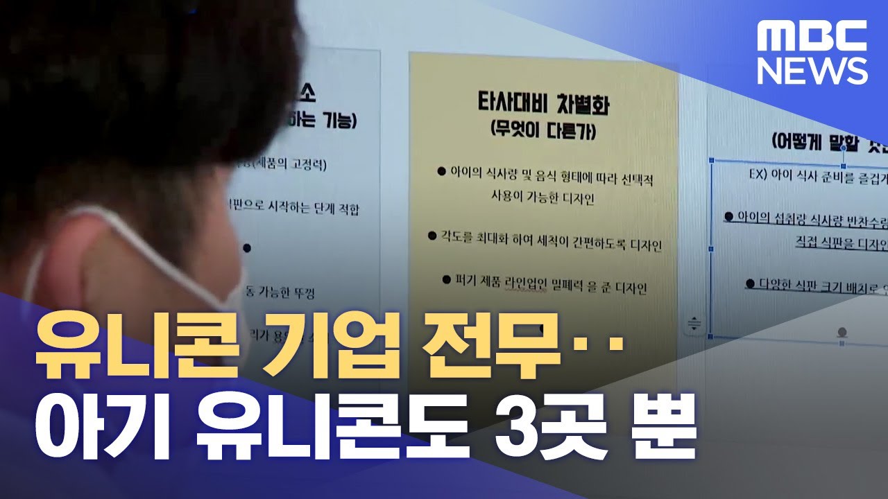 유니콘 기업 전무‥ 아기 유니콘도 3곳 뿐 (2023.09.22/뉴스데스크/전주MBC)