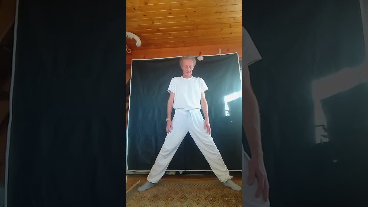 Qi Gong full set of easy to follow exercices  