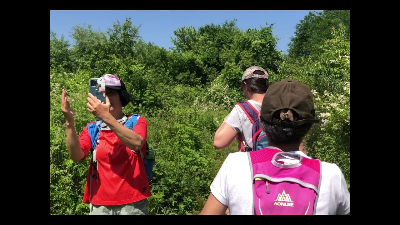 2021_6_ Bethpage State Park _NY