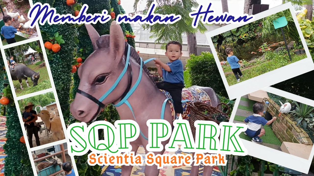 Memberi makan, Kelinci, Alpaka, Rusa, Banteng Taurus, Ikan koi di Scientia Park BSD
