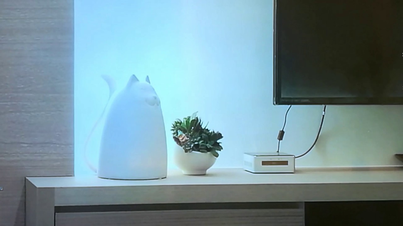鼎泰磐玉