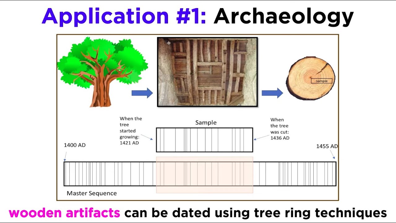 Applications of Dendrochronology