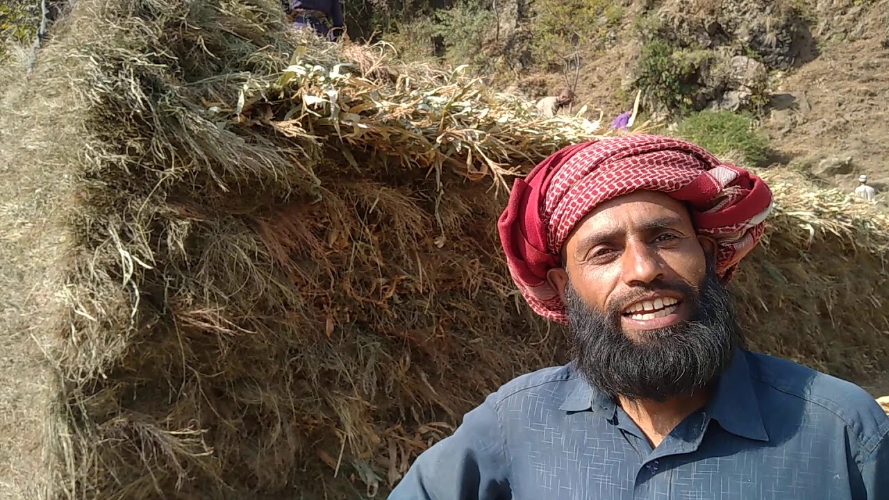 Gojri  culture aj ghari rachee  21 10 2020