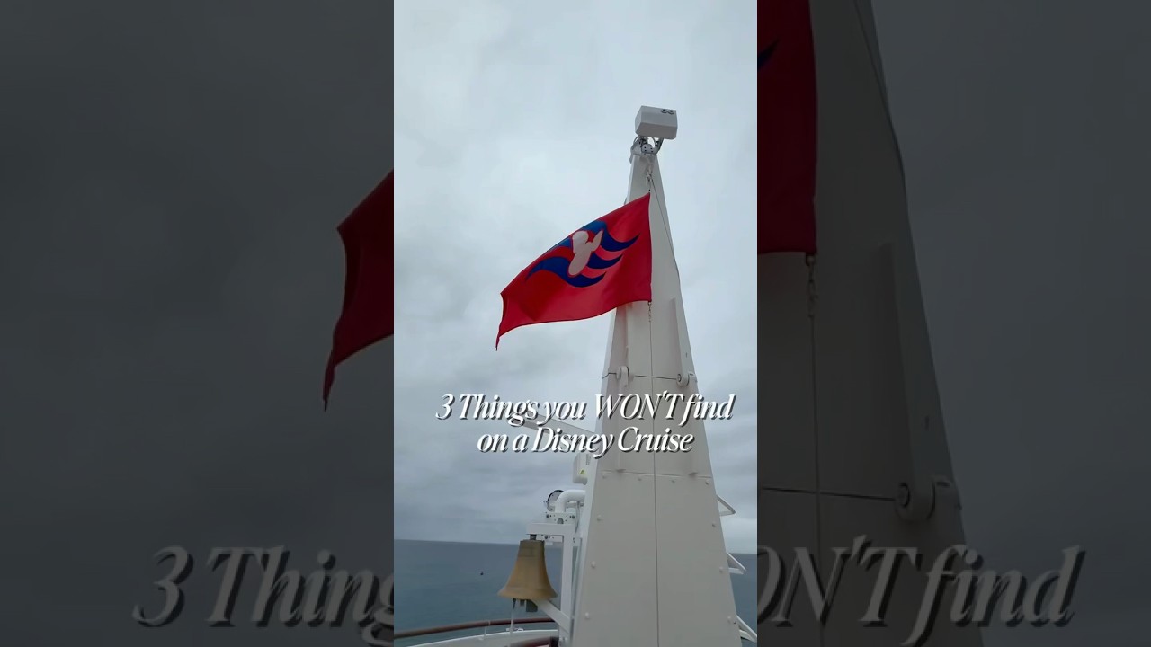 I do love some DCL bingo! 